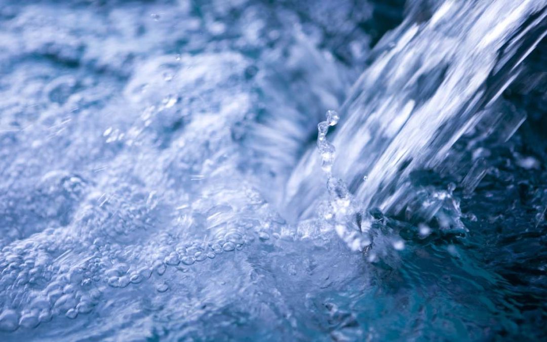 WCI Group Ltd – New Branding for a Changing World