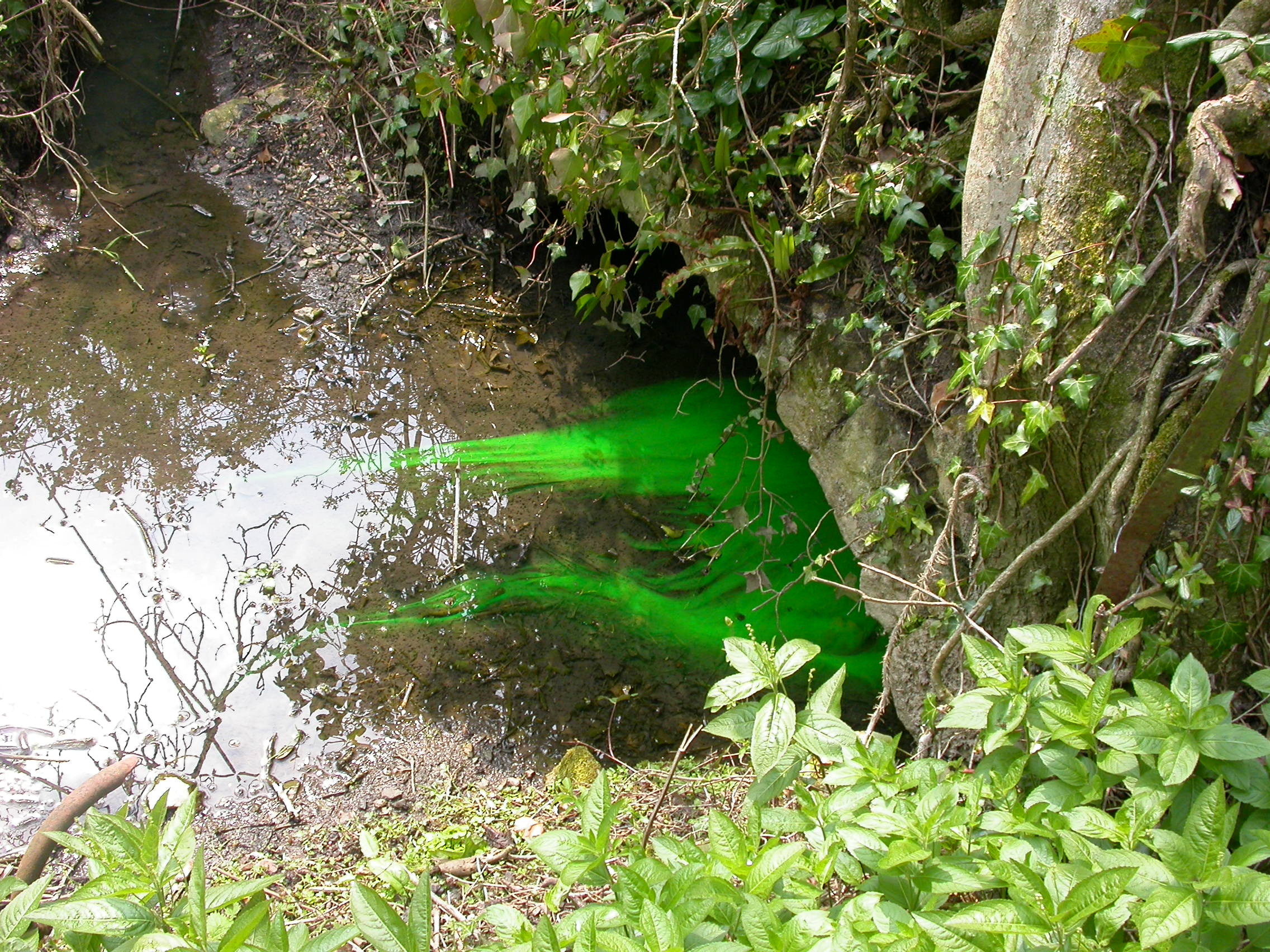 Evidence of dye from a private drainage system