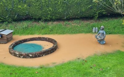 Caring for your sewage treatment plant in winter