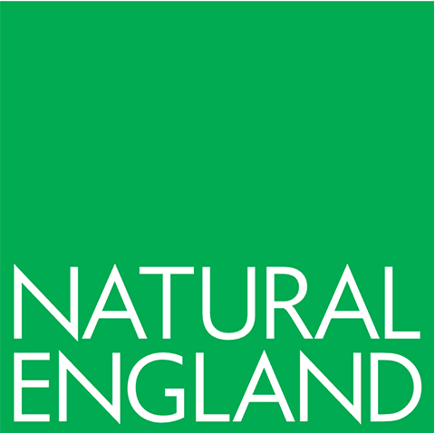natural-england-logo-vector