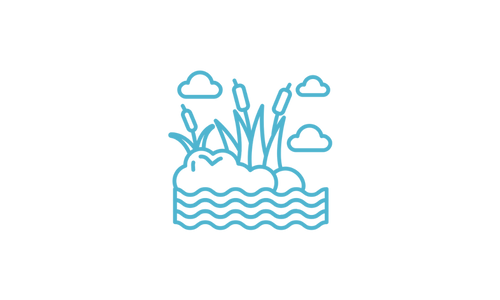 Reed Beds