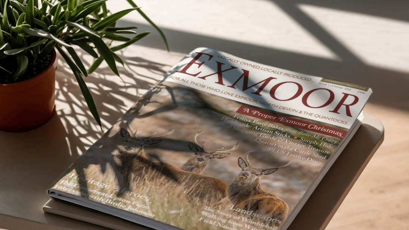 WCI In Exmoor Magazine