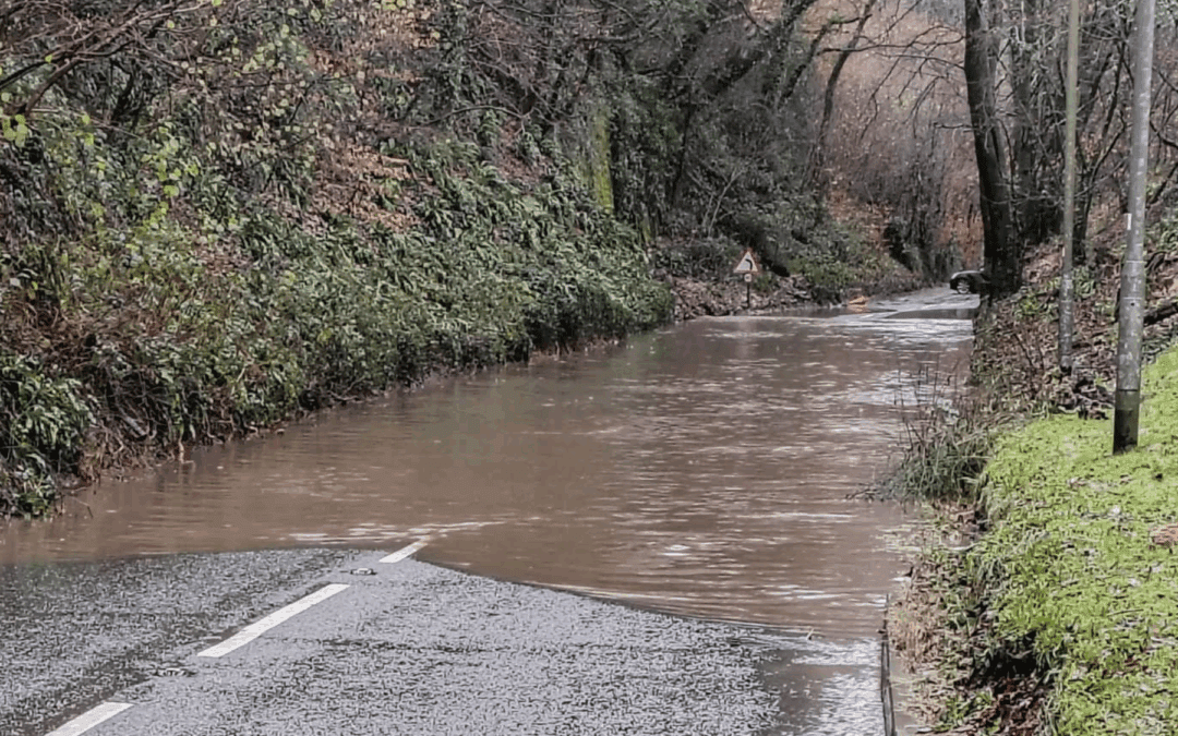 Dealing with Flooding?