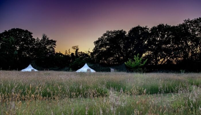 WCI’s First Nutrient Neutrality Planning Approval Based on Upgrading an Existing System