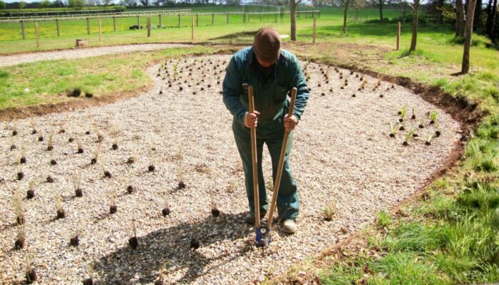 Reed Bed Drainage Scheme for a Residential Development