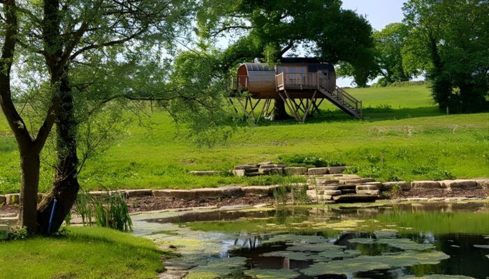 Silent, Low-Profile Drainage for a Treehouse Guest House